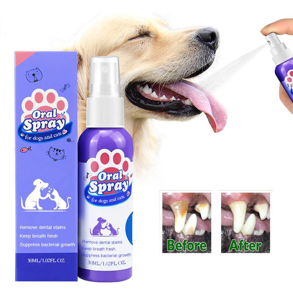 Semprotan untuk Mulut Hewan Pe - Teeth Whitening Mouthwash ulasan dan harga