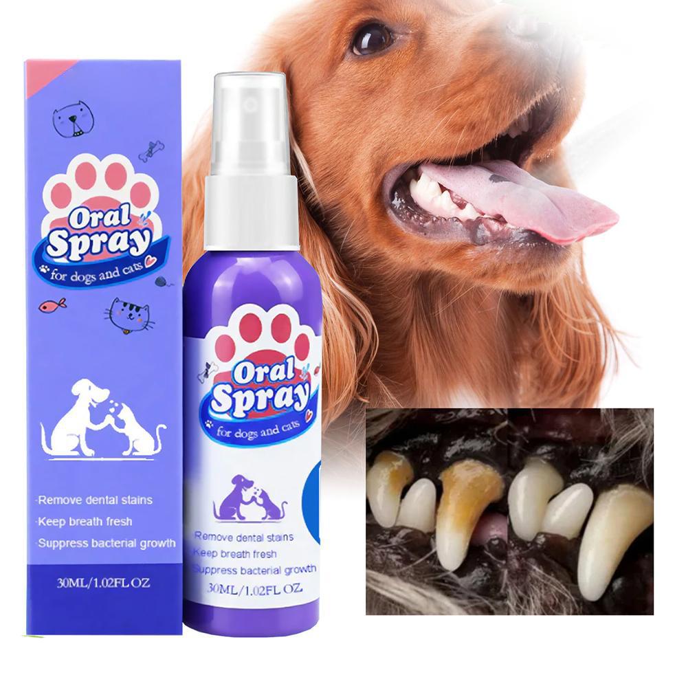Semprotan untuk Mulut Hewan Pe - Teeth Whitening Mouthwash ulasan dan harga