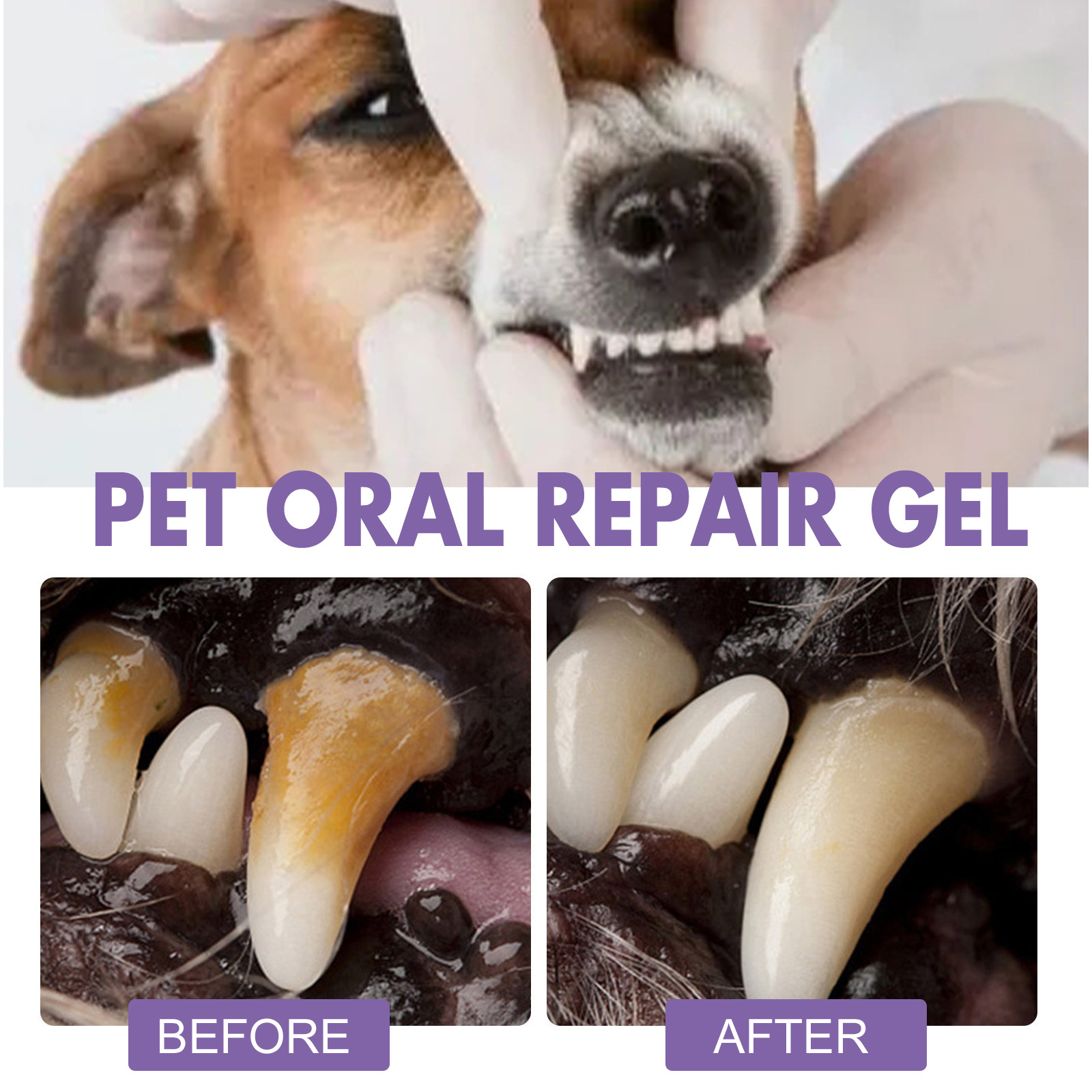 Gel perbaikan mulut hewan peli - Teeth Whitening Mouthwash ulasan dan harga